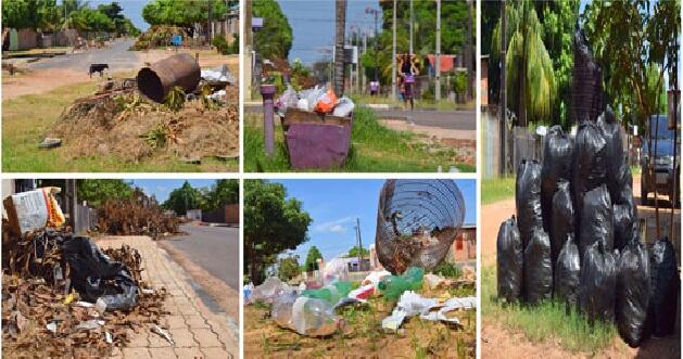 Além do lixo doméstico, é possível ver galhadas em vários setores da cidade (Foto: Rodrigo Sales)