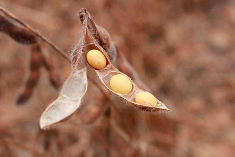 conteudo de folhabv.com.br