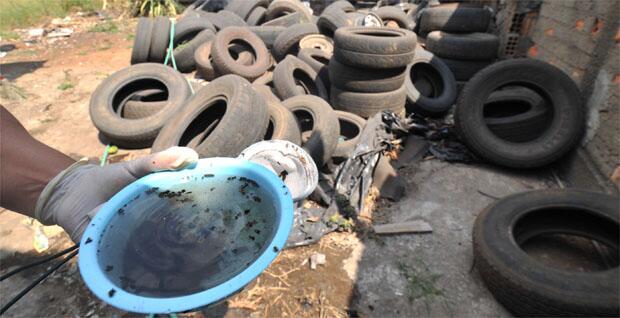 conteudo de folhabv.com.br