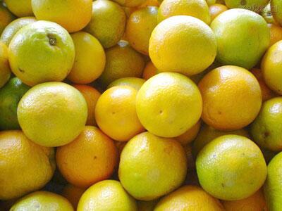 Frutas cítricas: Seu consumo promove o bom funcionamento do sistema nervoso (Foto: Divulgação)