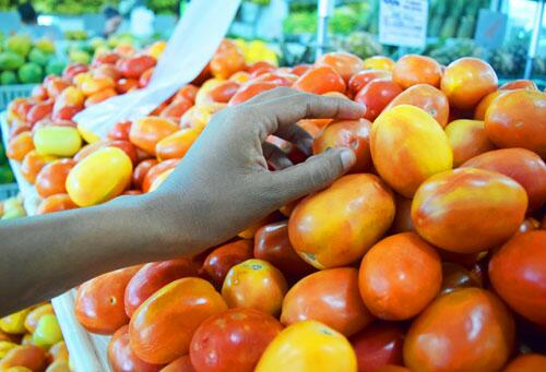 Variação no preço do tomate, que sofreu alta de quase 10% em setembro, ajudou a encarecer a cesta básica em Boa Vista (Foto: Diane Sampaio)