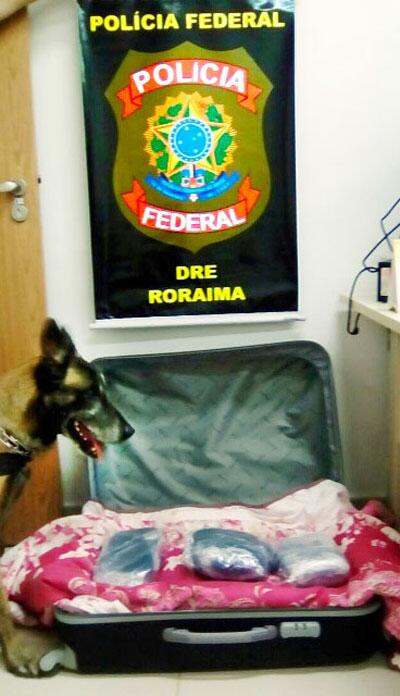 conteudo de folhabv.com.br