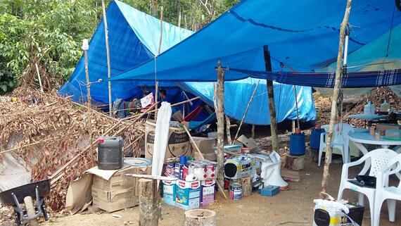 Agricultores afirmam que índios montaram acampamento e impedem trânsito na região (Foto: Jefter Reis)
