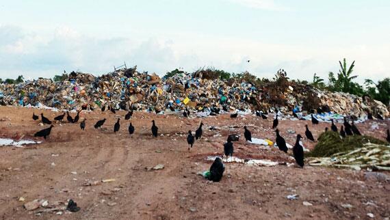 A lixeira pública de Rorainópolis está cheia e o meio ambiente corre risco (Foto: Jefter Reis)