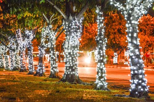 Atividades se iniciam a partir das 19h, no Parque Germano Augusto Sampaio, no bairro Pintolândia (Foto: Divulgação)