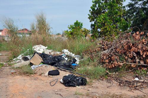Galhadas e entulhos em frente aos imóveis dificultam o trabalho das equipes de Endemias (Foto: Diane Sampaio)
