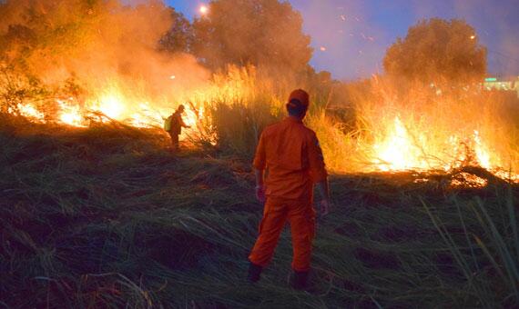 Preocupação maior é nos municípios do Sul do Estado, principalmente Rorainópolis (Foto: Arquivo/Folha)