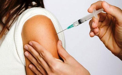 A febre amarela é uma doença infecciosa febril aguda, causada por um vírus (Fotos divulgação)