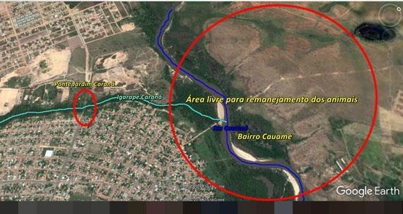 Mapa mostra local onde está sendo construída a ponte e sugere área livre para o remanejamento dos animais silvestres (Foto: Google)