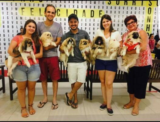 conteudo de folhabv.com.br