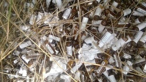 Medicamentos foram descartados de forma irregular em matagal do bairro Jardim Caranã (Foto: Divulgação  )