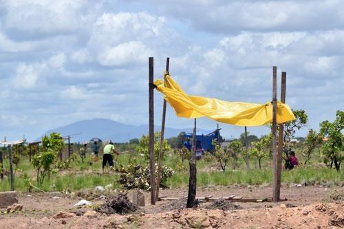 Área invadida fica no bairro Cidade Satélite (Foto: Diane Sampaio)