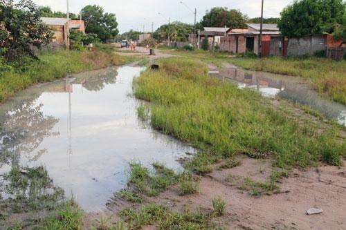 E com a intensificação das chuvas, o perigo de infestação aumenta pelo acúmulo de água parada (Foto: Wenderson de Jesus)