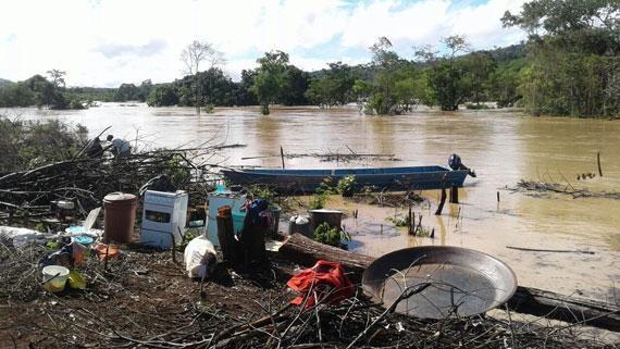 Moradores de comunidade indígena tentam salvar o que podem usando barco (Foto: Divulgação)