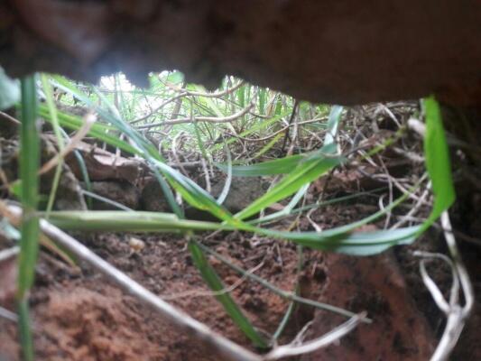 Os presos utilizaram restos de materiais de construção para fazer o buraco no muro de contenção