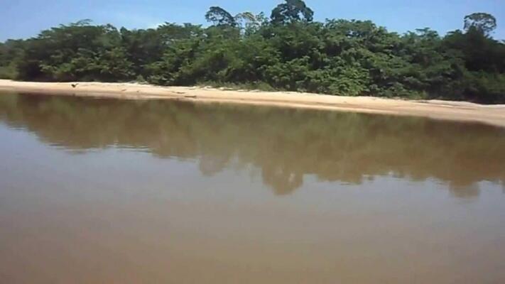 conteudo de folhabv.com.br