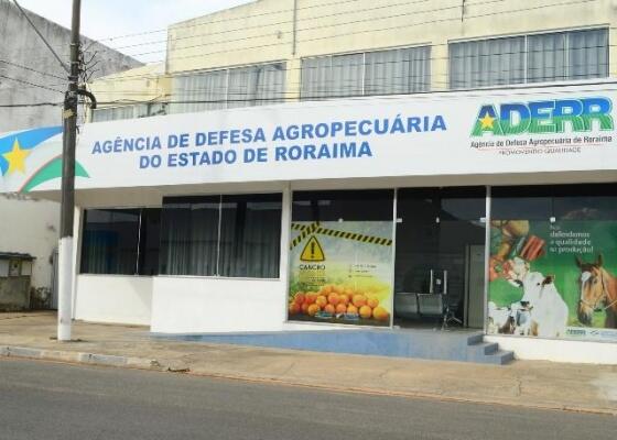 conteudo de folhabv.com.br