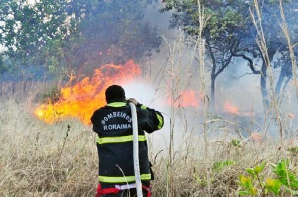 Só este mês, mais de 420 focos de incêndio já foram registrados (Foto: Divulgação)