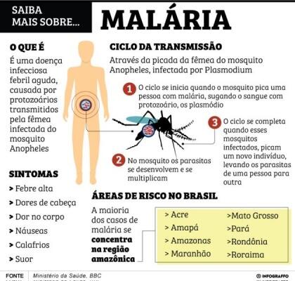 conteudo de folhabv.com.br