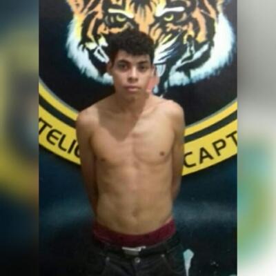 conteudo de folhabv.com.br