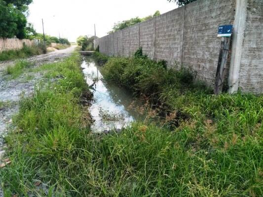 Moradores do bairro Operário se dizem a mercê da própria sorte (Foto: Minervaldo Lopes/Folha BV)
