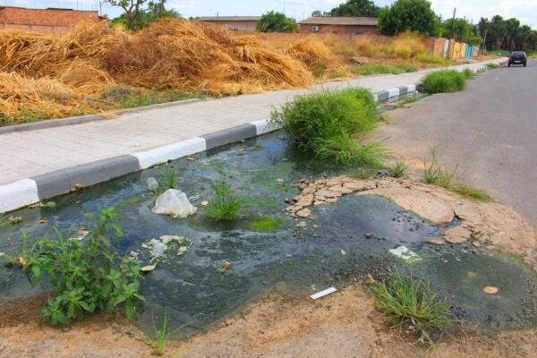 Dejetos que sabem de esgoto vão direto para uma área de buritizal do bairro Jóquei Clube (Foto: Diane Sampaio/Folha BV)