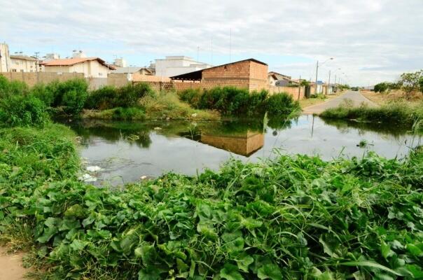 Mau cheiro no Cidade Satélite é constante e durante a noite se intensifica; mosquitos infestam o local, o que resulta no comprometimento da saúde de quem vive perto (Foto: Nilzete Franco/Folha BV)
