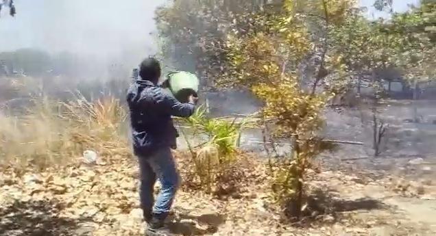 Moradores utilizam baldes de água para apagar chamas no Bom Intento (Foto: Divulgação) Moradores utilizam baldes de água para apagar chamas no Bom Intento (Foto: Divulgação)