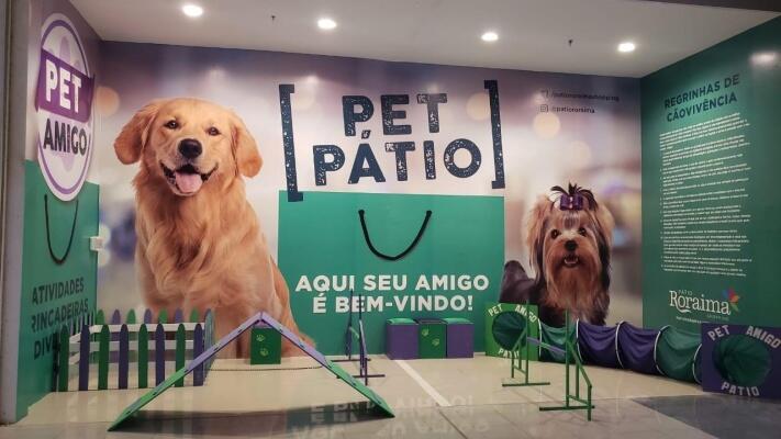 conteudo de folhabv.com.br
