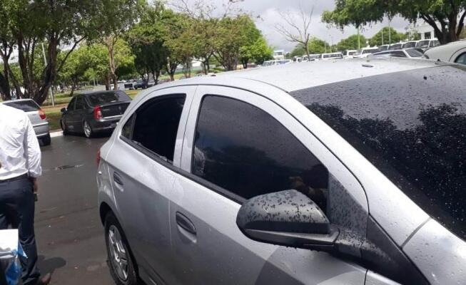 Criminoso quebrou vidro de veículo para roubar objetos de funcionário público (Foto: Divulgação)