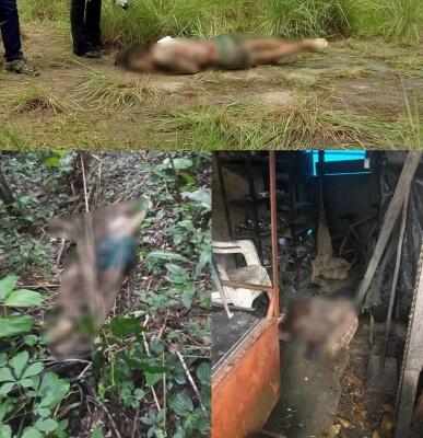 Em todos os casos os cadáveres foram encontrados por populares (Foto: Divulgação)