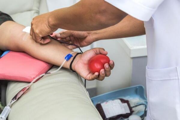 Médica hematologista Cibelli Navarro explica o procedimento da doação de sangue (Foto: Geziel Ribeiro/Folhabv)