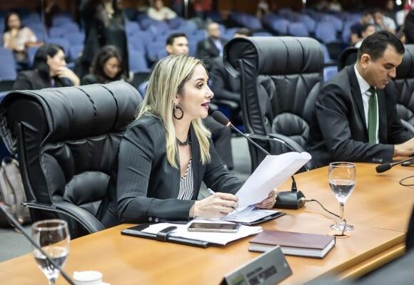 A deputada estadual Ione Pedroso é autora da lei que criou o Selo Empresa Sustentável (Foto: Divulgação)