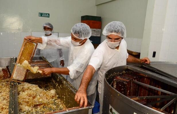 Produtos como o mel poderão ser encaixados nas novas regras de produção artesanal de derivados de origem animal (Foto: Nilzete Franco/Folha BV)