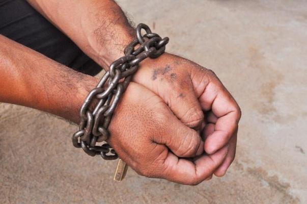16 trabalhadores foram resgatados, sendo três venezuelanos (Foto: Arquivo/FolhaBv)