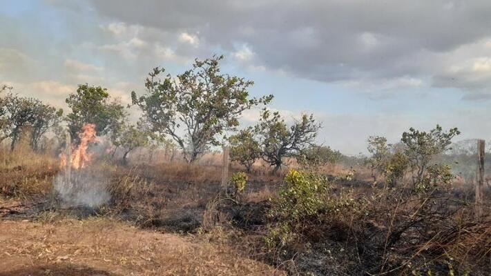 Registro de incêndio em área de vegetação no bairro Caçari, ocorrido no último sábado (7) (Foto: Ayan Ariel/Folha BV) Registro de incêndio em área de vegetação no bairro Caçari, ocorrido no último sábado (7) (Foto: Ayan Ariel/Folha BV)