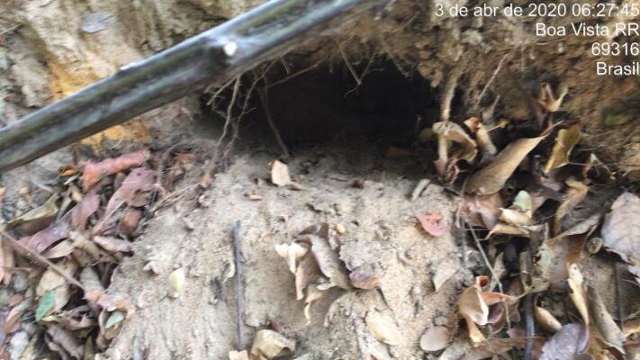 Foram apreendidas drogas, dinheiro e um revólver em duas prisões(Foto: Divulgação/Ficco)