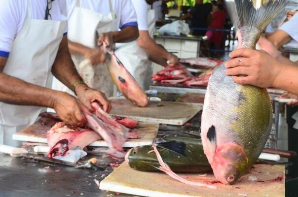 Consumidor deve ficar atento e comparar se houve aumento do pescado devido à demanda do período (Foto: Nilzete Franco/FolhaBV) Consumidor deve ficar atento e comparar se houve aumento do pescado devido à demanda do período (Foto: Nilzete Franco/FolhaBV)