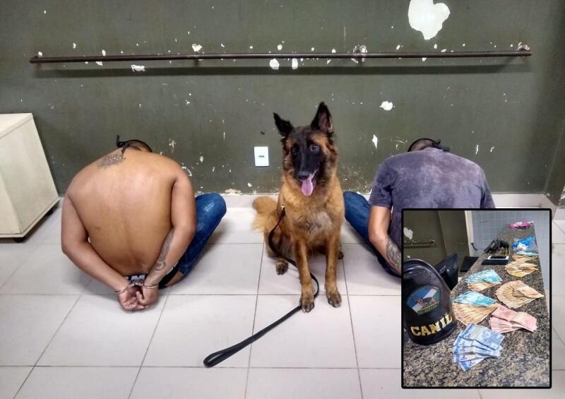 Os policias contaram com o auxílio do cão de detecção (Foto: Divulgação)