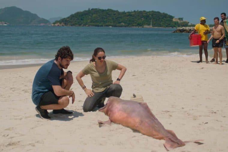 Na série, um boto cor de rosa é encontrado no Rio de Janeiro (Foto: Netflix)