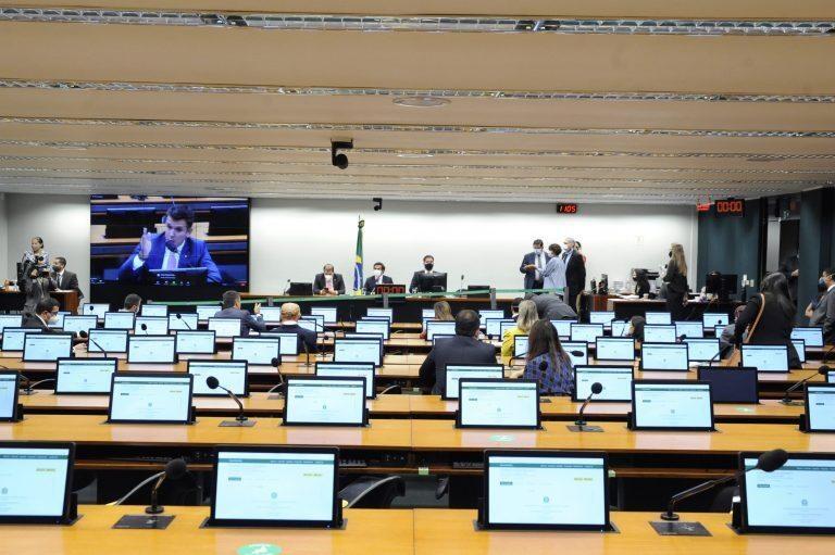 Comissões são responsáveis por análises de projetos e audiências públicas (Foto: Reprodução/Agência Câmara de Notícias)