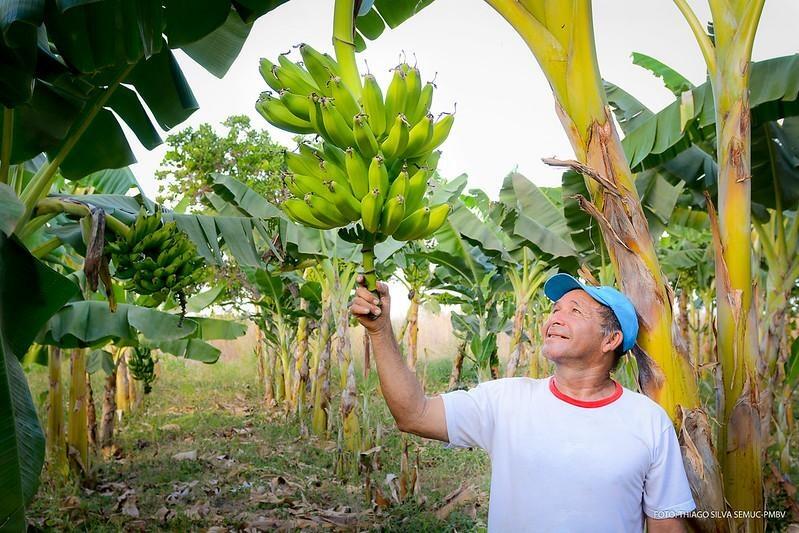 Objetivo é garantir aos agricultores acesso a uma tecnologia moderna (Foto: Semuc PMBV)