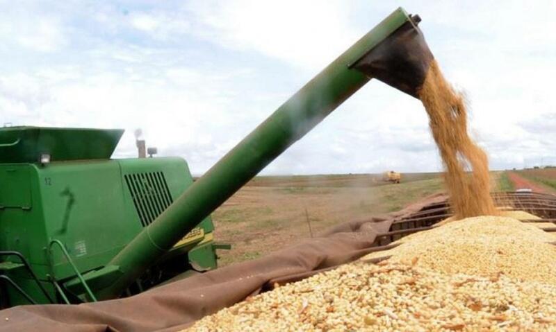 Preços internos seguiram em alta em razão da forte demanda externa e da manutenção da desvalorização do real em relação ao dólar (Foto: Arquivo Agência Brasil)
