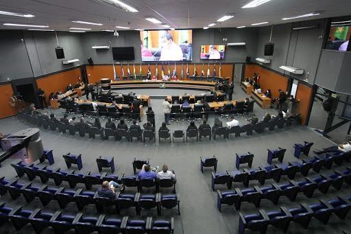 Cachorros da deputada Betânia Almeida (PV) interromperam sessão híbrida (Foto: Supcom ALERR)