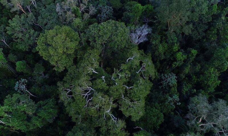 As vagas são para para provimento de Agente Temporário Ambiental (Foto: Reprodução/Agência Brasil)