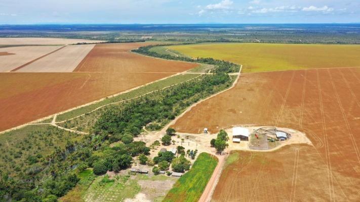 Recentemente o Estado recebeu também a certidão de propriedade das terras da gleba Caracaraí (Foto: Divulgação)