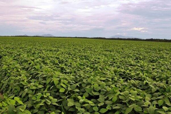 Projeção vê estados como Roraima, Mato Grosso e Piauí com aumento do PIB (Foto: Arquivo FolhaBV)