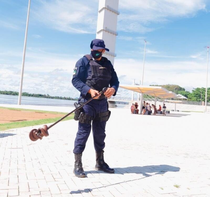 A cobra deve ser encaminhada ao CETAS  (FOTO: Divulgação)
