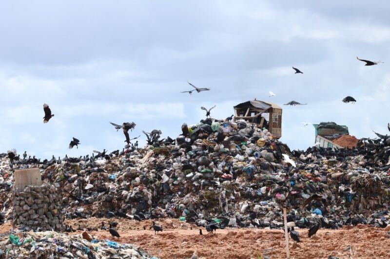 Gestão do lixo em Boa Vista é tema de investigação (Foto: Diane Sampaio/FolhaBV)