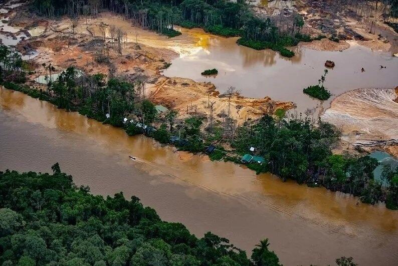 Ação acontece em terra indígena yanomami (Foto: Reprodução)